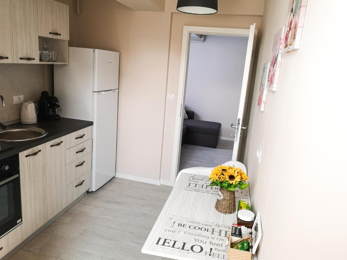 Yns Apartaments Iasi Exterior photo